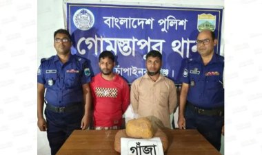 চাঁপাইনবাবগঞ্জে গাঁজাসহ দুই ভাই গ্রেফতার