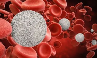 রক্তে কমছে হিমোগ্লোবিনের মাত্রা-বুঝবেন কীভাবে?