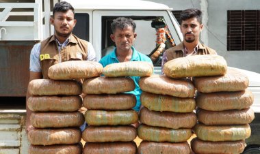 নরসিংদীতে গাঁজাসহ একজন গ্রেফতার