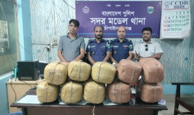 চাঁপাইনবাবগঞ্জে বিপুল পরিমাণ গাঁজা উদ্ধার