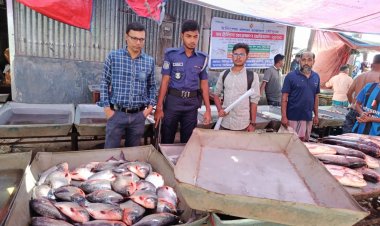 বুড়িচংয়ে নিষিদ্ধ পিরানহা বিক্রিতে জরিমানা-৫০ কেজি মাছ এতিমখানায় বিতরণ