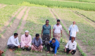 নিয়ামতপুরে উপজেলা কৃষি কর্মকর্তার বিভিন্ন সবজি ক্ষেত পরিদর্শন