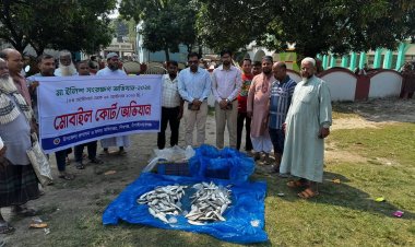 চাঁপাইনবাবগঞ্জে মা ইলিশ সংরক্ষণ অভিযানে ৫৫ কেজি ইলিশ জব্দ