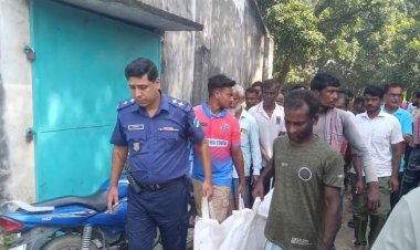 মেহেরপুরে সড়ক দুর্ঘটনায় জাবি ছাত্রী নিহত