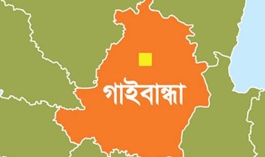 পলাশবাড়ীতে সড়ক দুর্ঘটনায় মোটরসাইকেল আরোহী নিহত