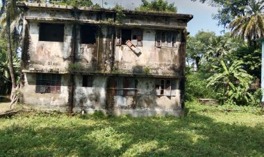 বুড়িচং সরকারী মৎস্য হ্যাচারী যেন ভূতুরে বাড়ী-কাগজে কলমে চলে পোনা উৎপাদন ও বিক্রয়ের কার্যক্রম