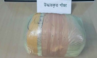 মেহেরপুরে গাঁজাসহ একজন কারবারি গ্রেফতার