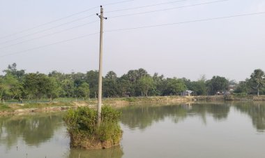 পুকুরের মাঝ দিয়ে বৈদ্যতিক লাইন আতঙ্কে গ্রামের মানুষ