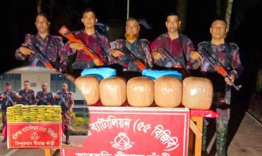 হবিগঞ্জে ভারতীয় গাঁজাসহ ফুচকা জব্দ