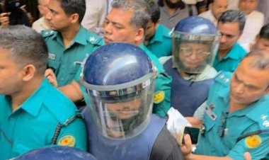 আমার বাচ্চা ডেলিভারি হবে, দোয়া রাইখেন-তৌহিদ আফ্রিদি