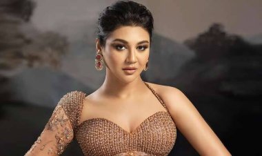 দেশের পরিচালকরা আমাকে সঠিকভাবে ব্যবহার করেননি-জয়া আহসান