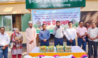 ভোলাহাটে কৃষি প্রণোদনা কৃষকদের মাঝে বিতরণ