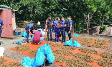 ব্রাহ্মণপাড়ায় বাড়ির ছাদে শুকানো হচ্ছিল ১০০ কেজি গাঁজা