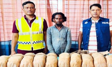 মাধবপুরে গাঁজাসহ এক মাদক কারবারি গ্রেপ্তার