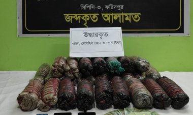 ফরিদপুরে গাঁজাসহ দুই মাদক কারবারি গ্রেফতার