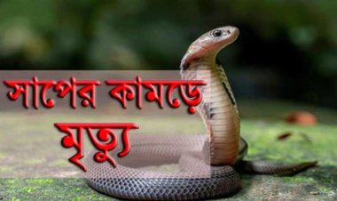 নবীগঞ্জে সাপের কামড়ে কৃষকের মৃত্যু