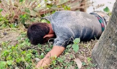 নওগাঁয় ডাব চুরি করতে গিয়ে গাছ থেকে পড়ে চোরের মৃত্যু