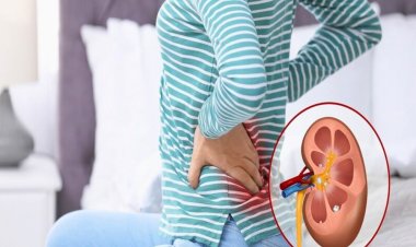 কিডনি খারাপ হওয়ার পেছনে রয়েছে যেসব কারণ