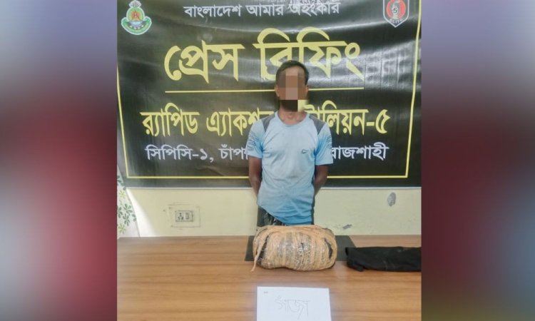 চাঁপাইনবাবগঞ্জে গাঁজাসহ একজন গ্রেফতার
