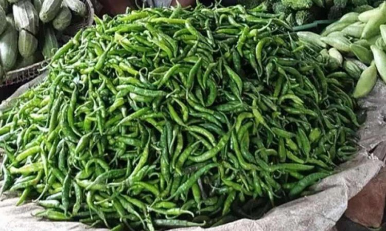 চুয়াডাঙ্গায় কাঁচা ঝালের কেজি ৩২০ টাকা দিশেহারা ক্রেতা