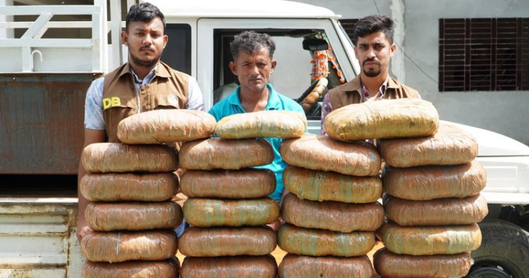 নরসিংদীতে গাঁজাসহ একজন গ্রেফতার