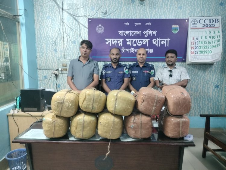 চাঁপাইনবাবগঞ্জে বিপুল পরিমাণ গাঁজা উদ্ধার