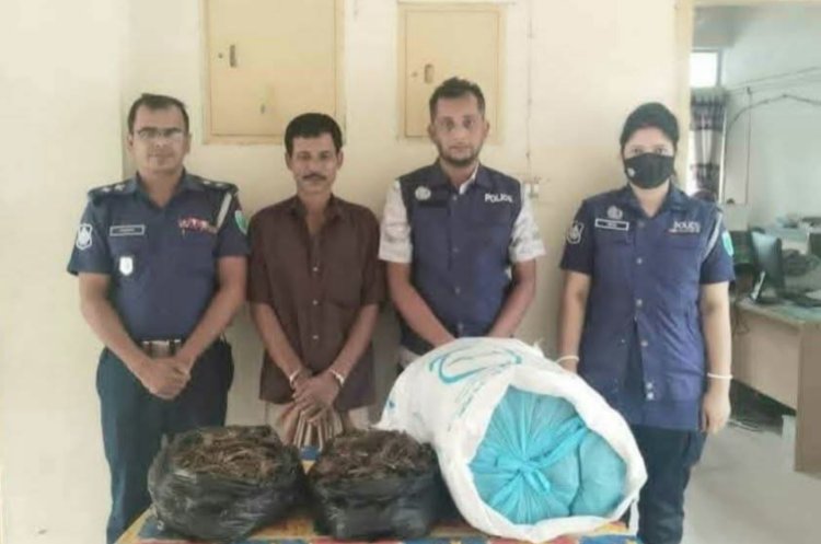 হবিগঞ্জে গাঁজাসহ মাদক কারবারি গ্রেপ্তার