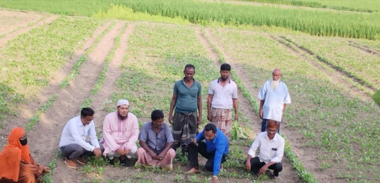 নিয়ামতপুরে উপজেলা কৃষি কর্মকর্তার বিভিন্ন সবজি ক্ষেত পরিদর্শন