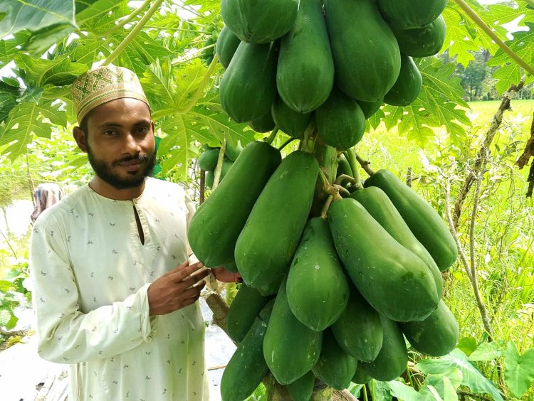 পড়াশোনার পাশাপাশি সবজি চাষের সফলতার দৃষ্টান্ত গড়লেন দুমকির মাইনুল