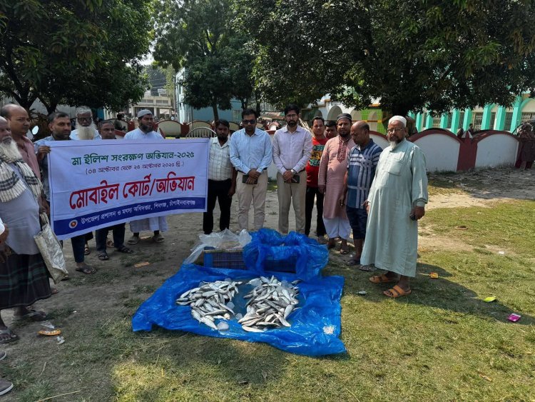 চাঁপাইনবাবগঞ্জে মা ইলিশ সংরক্ষণ অভিযানে ৫৫ কেজি ইলিশ জব্দ