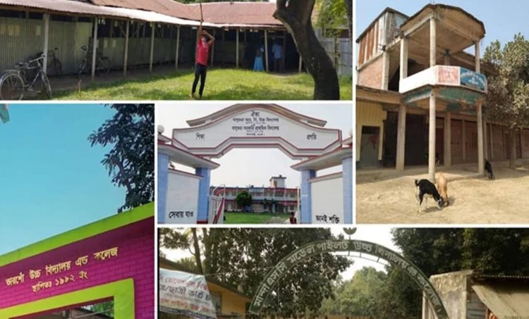 নওগাঁয় এইচএসসি পরীক্ষায় পাঁচ শিক্ষাপ্রতিষ্ঠানে পাস করেনি কেউ