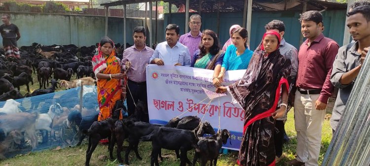 নওগাঁর বদলগাছীতে ছাগি বিতরণে অনিয়মের অভিযোগ