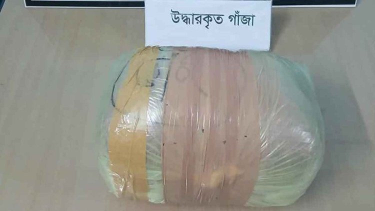 মেহেরপুরে গাঁজাসহ একজন কারবারি গ্রেফতার