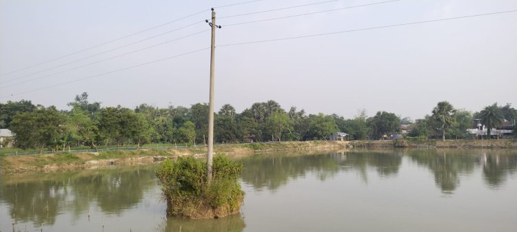 পুকুরের মাঝ দিয়ে বৈদ্যতিক লাইন আতঙ্কে গ্রামের মানুষ
