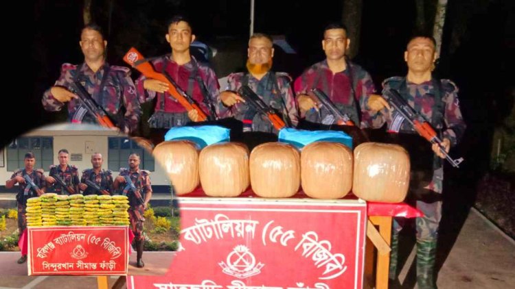 হবিগঞ্জে ভারতীয় গাঁজাসহ ফুচকা জব্দ