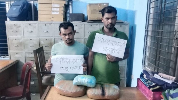 হাতিরঝিলে গাঁজাসহ দুইজন গ্রেফতার