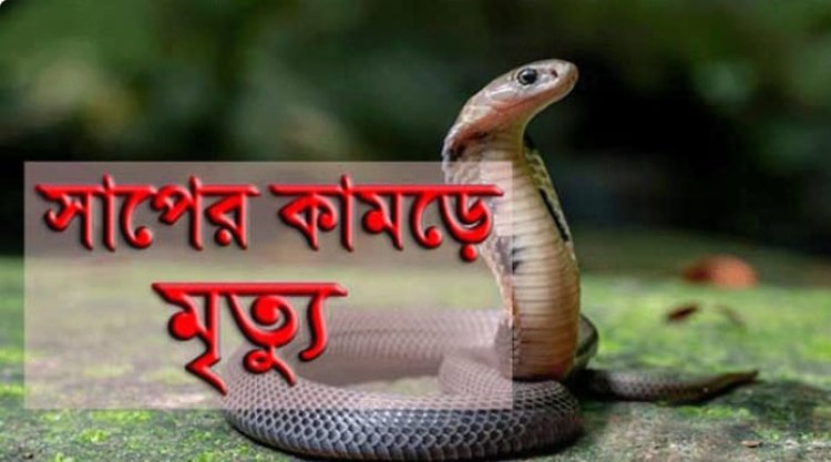 নবীগঞ্জে সাপের কামড়ে কৃষকের মৃত্যু