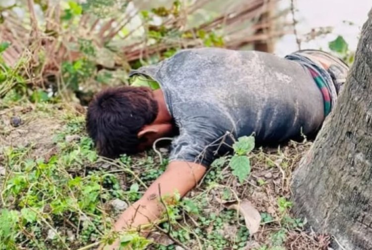 নওগাঁয় ডাব চুরি করতে গিয়ে গাছ থেকে পড়ে চোরের মৃত্যু