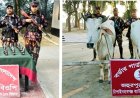 চাঁপাইনবাবগঞ্জ সীমান্তে ভারতীয় গরু ও মদ জব্দ