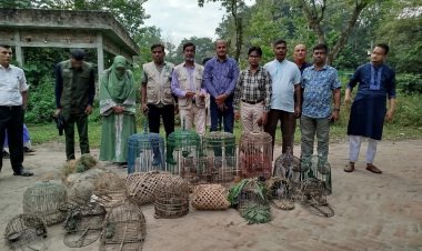 ‎মাধবপুরে ১২টি বন্য পাখি উদ্ধার-সাতছড়ি উদ্যানে অবমুক্ত