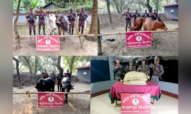 চাঁপাইনবাবগঞ্জে ভারতীয় গরু"মহিষ ও বিড়ির মসলা জব্দ