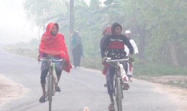 চুয়াডাঙ্গায় তাপমাত্রা কমে যাওয়ায় সকাল ও রাতে শীতের অনুভূত 