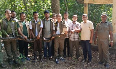 কাপ্তাই জাতীয় উদ্যানে ১৫ কেজি ওজনের অজগর সাপ অবমুক্ত