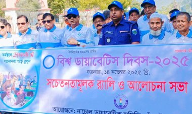 নাচোলে বিশ্ব ডায়াবেটিস দিবস পালিত