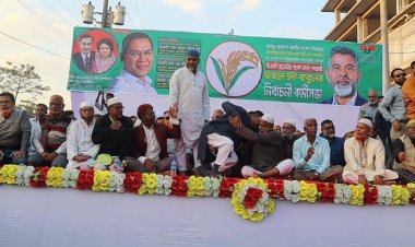 নওগাঁয় বিএনপির মনোনীত প্রার্থীকে বিজয়ী করার লক্ষ্যে কর্মীসভা