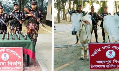 চাঁপাইনবাবগঞ্জ সীমান্তে ভারতীয় গরু ও মদ জব্দ