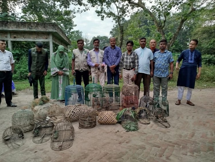 ‎মাধবপুরে ১২টি বন্য পাখি উদ্ধার-সাতছড়ি উদ্যানে অবমুক্ত