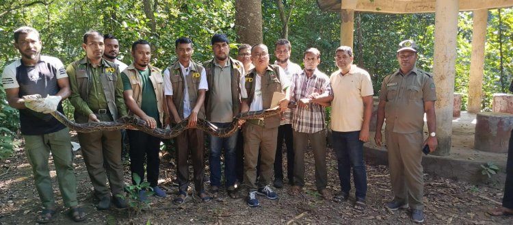 কাপ্তাই জাতীয় উদ্যানে ১৫ কেজি ওজনের অজগর সাপ অবমুক্ত