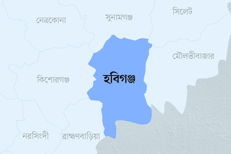 ‎নবীগঞ্জে সুপারি পাড়তে গিয়ে বিদ্যুৎস্পৃষ্টে এক ব্যক্তির মৃত্যু