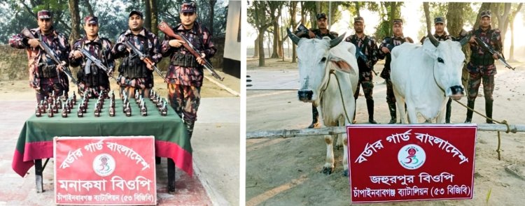 চাঁপাইনবাবগঞ্জ সীমান্তে ভারতীয় গরু ও মদ জব্দ